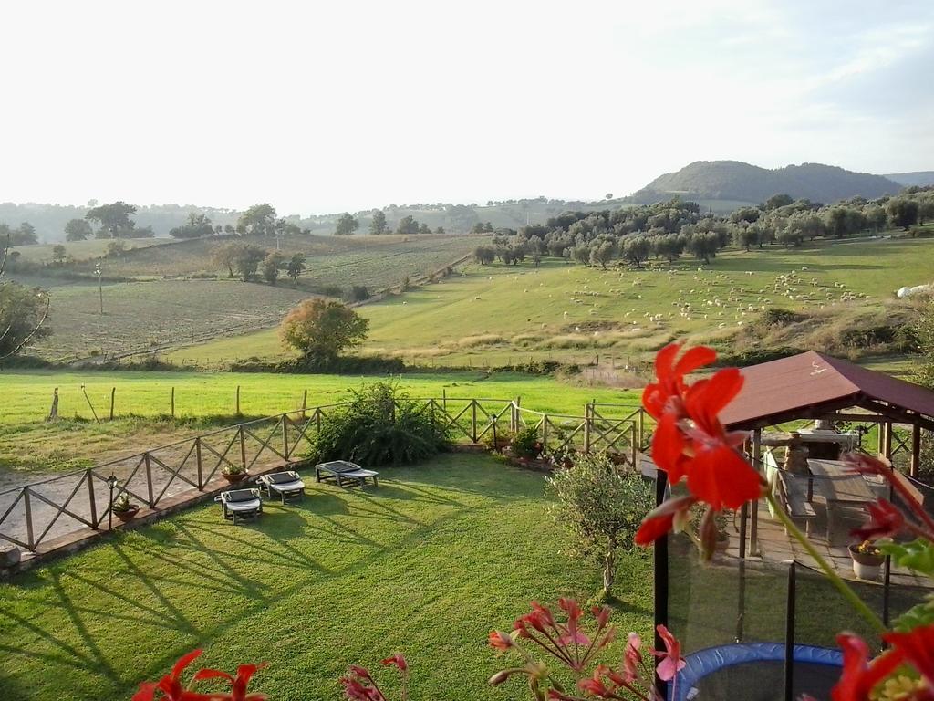Agriturismo La Valle Degli Ulivi Semproniano Bagian luar foto
