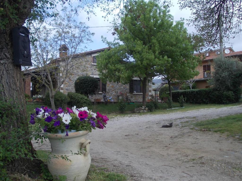 Agriturismo La Valle Degli Ulivi Semproniano Bagian luar foto